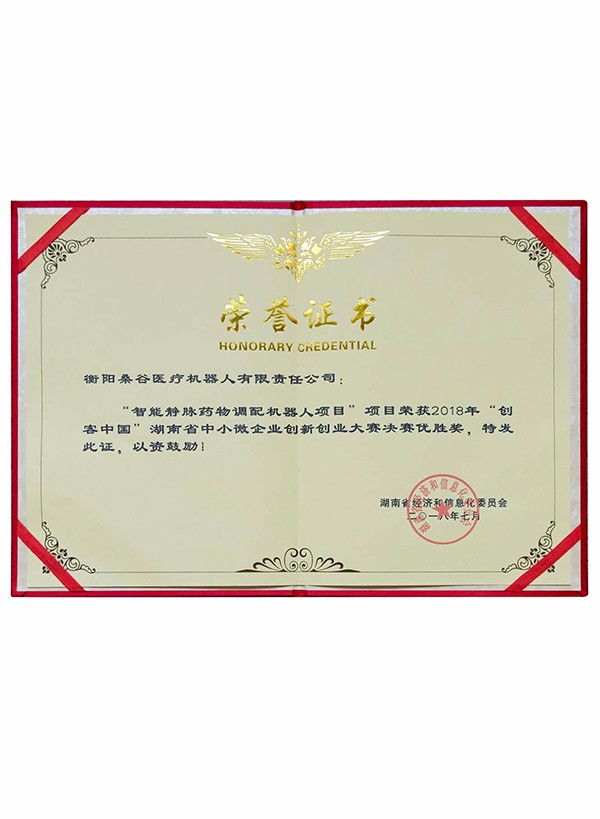 创新大赛省级优胜奖