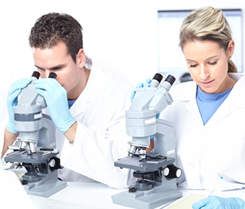 b体育官方入口在线登录