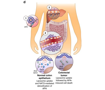 b体育官方入口在线登录